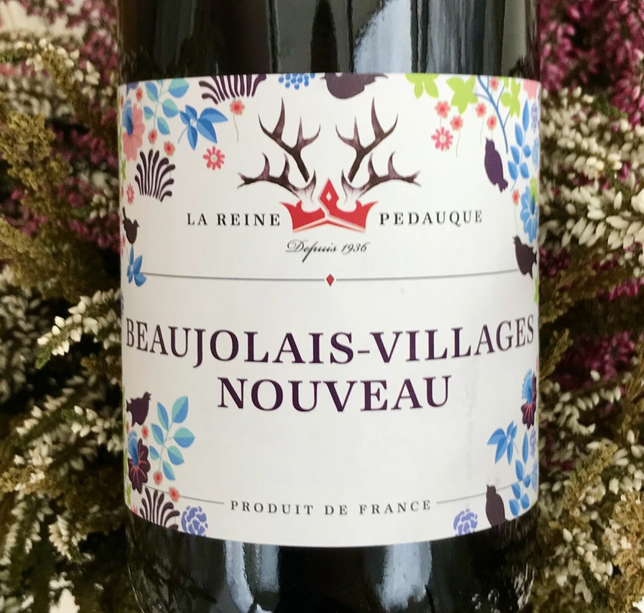 Beaujolais Nouveau 2020 - WineandBeyond.fi